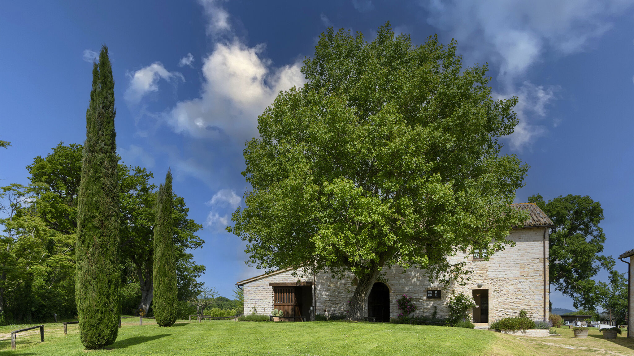 Italianway Cagli Checello 12