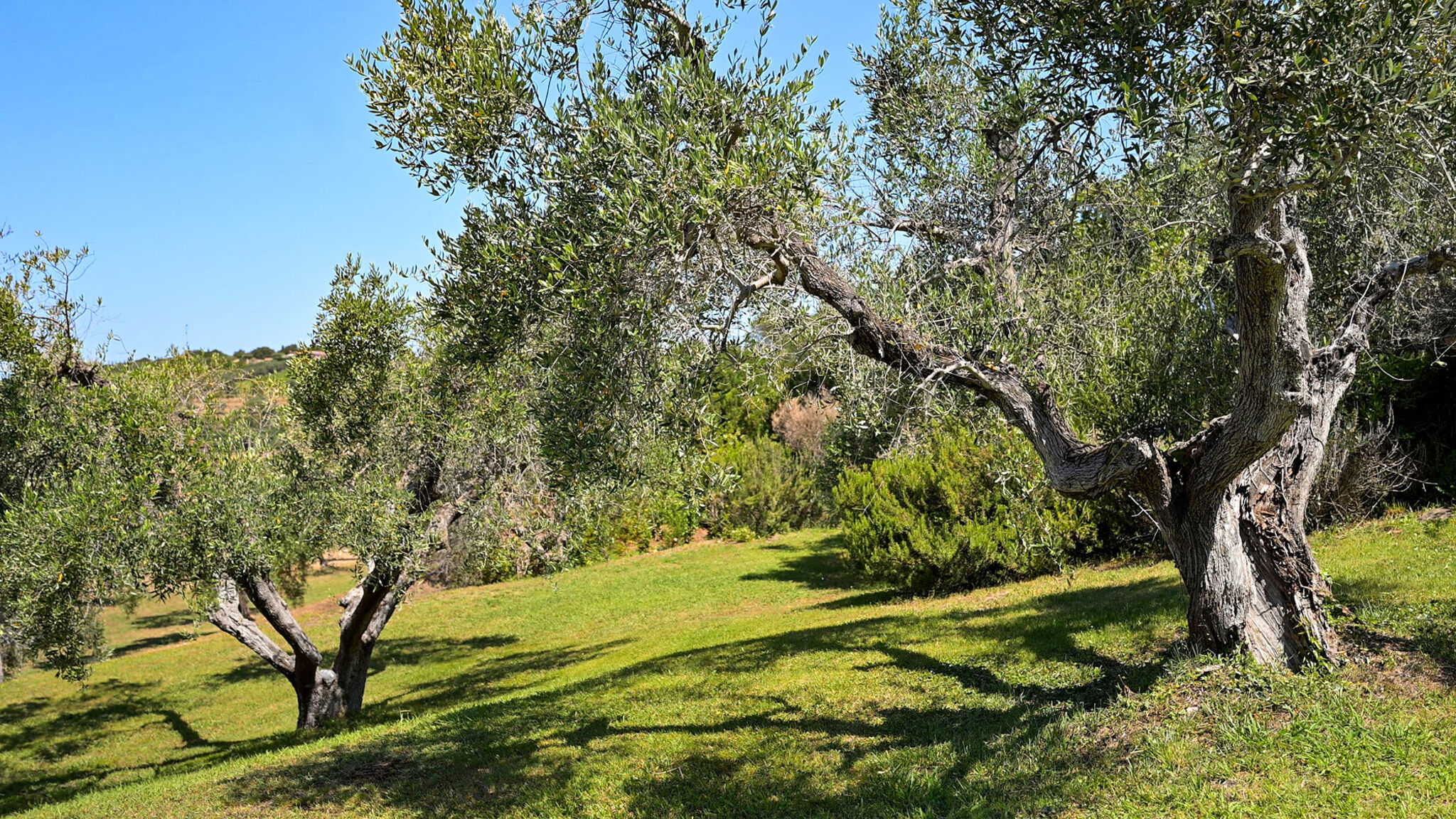 Italianway Campiglia Marittima Villa Le Cave 12