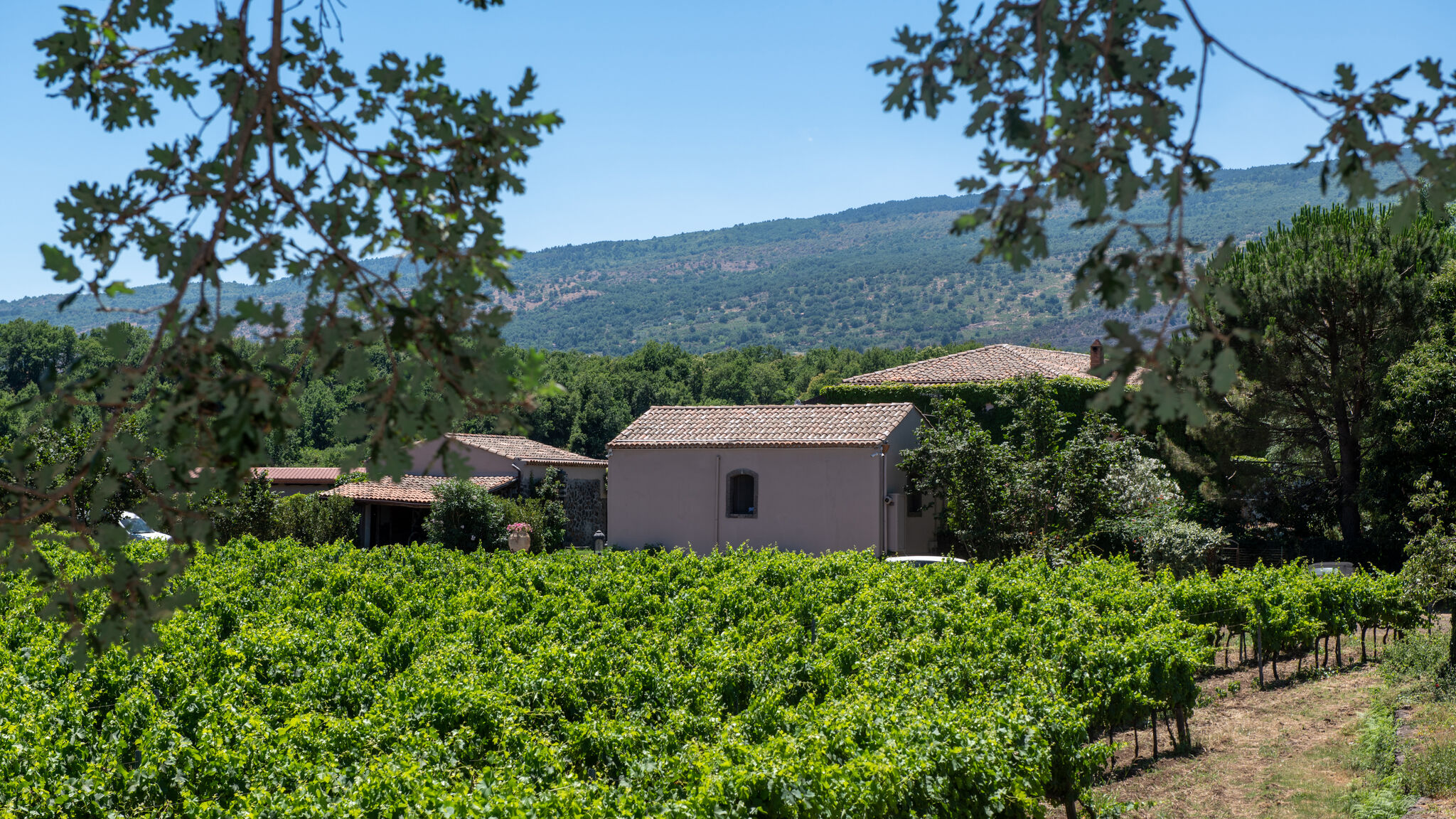 Italianway Castiglione di Sicilia Villa Terre Normanne 16