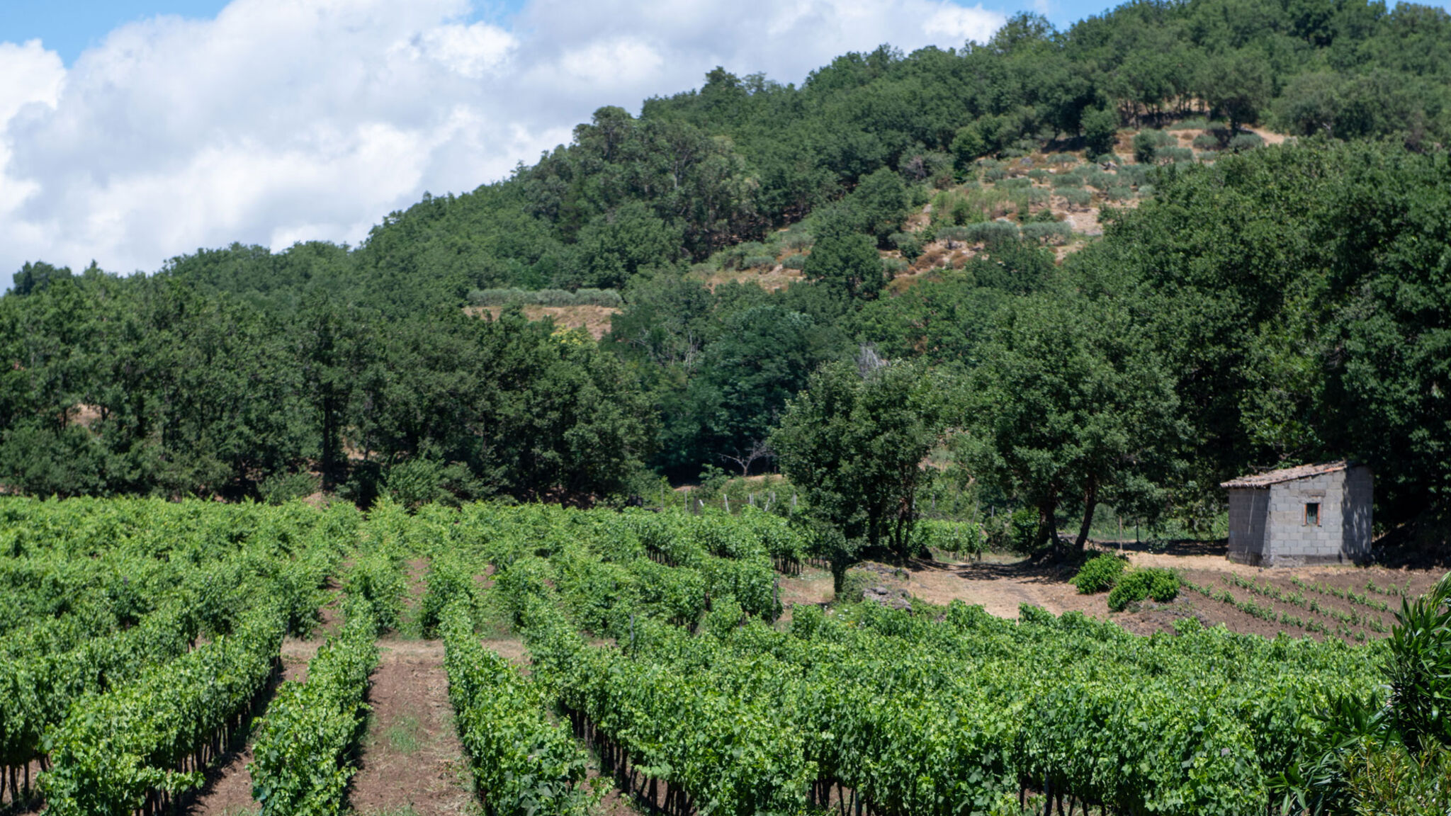 Italianway Castiglione di Sicilia Villa Terre Normanne 16