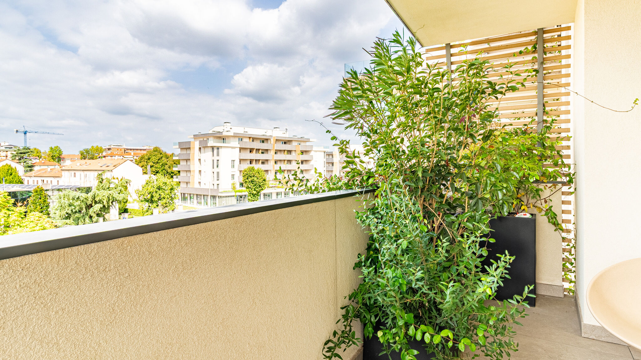 Italianway Monza Arborya by Houset