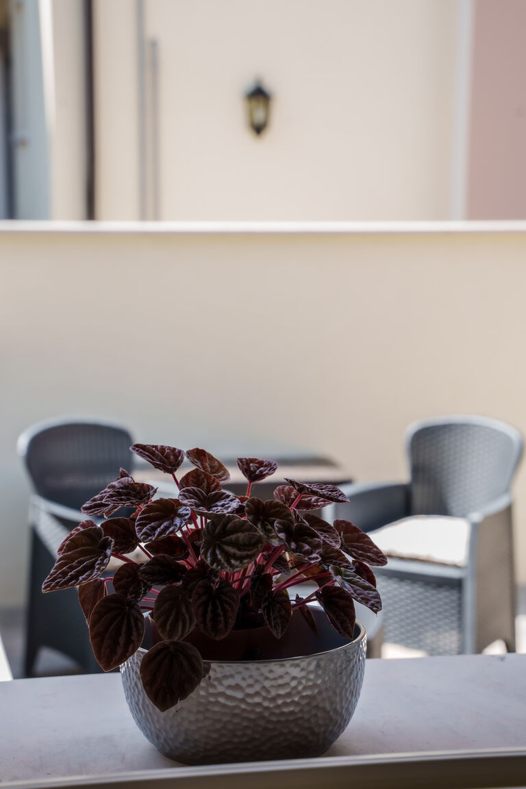 Italianway Gorizia Urban Wine Studio