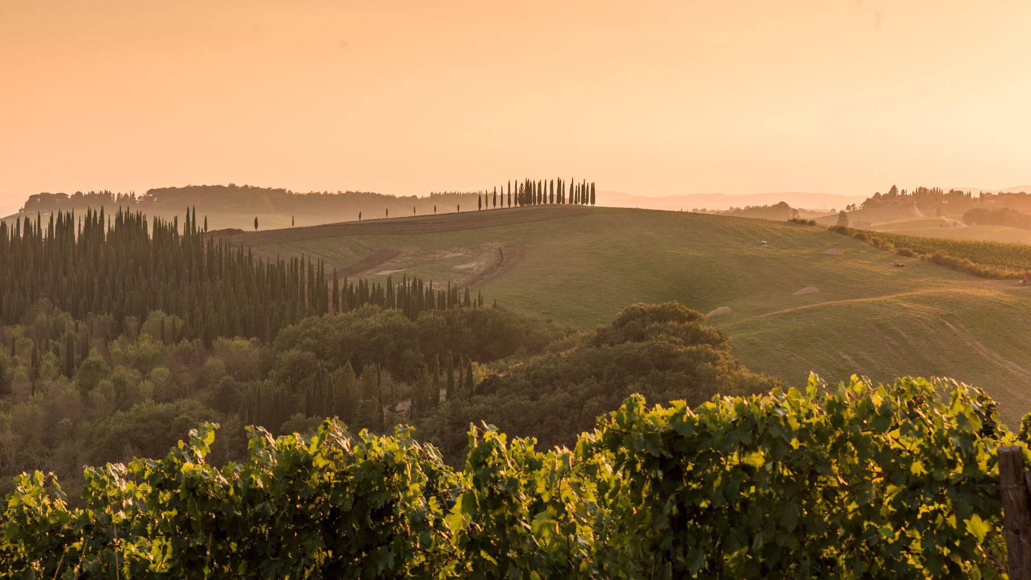 Italianway Castellina in Chianti Retreat in Chianti: Dioniso-Spa & Vineyard