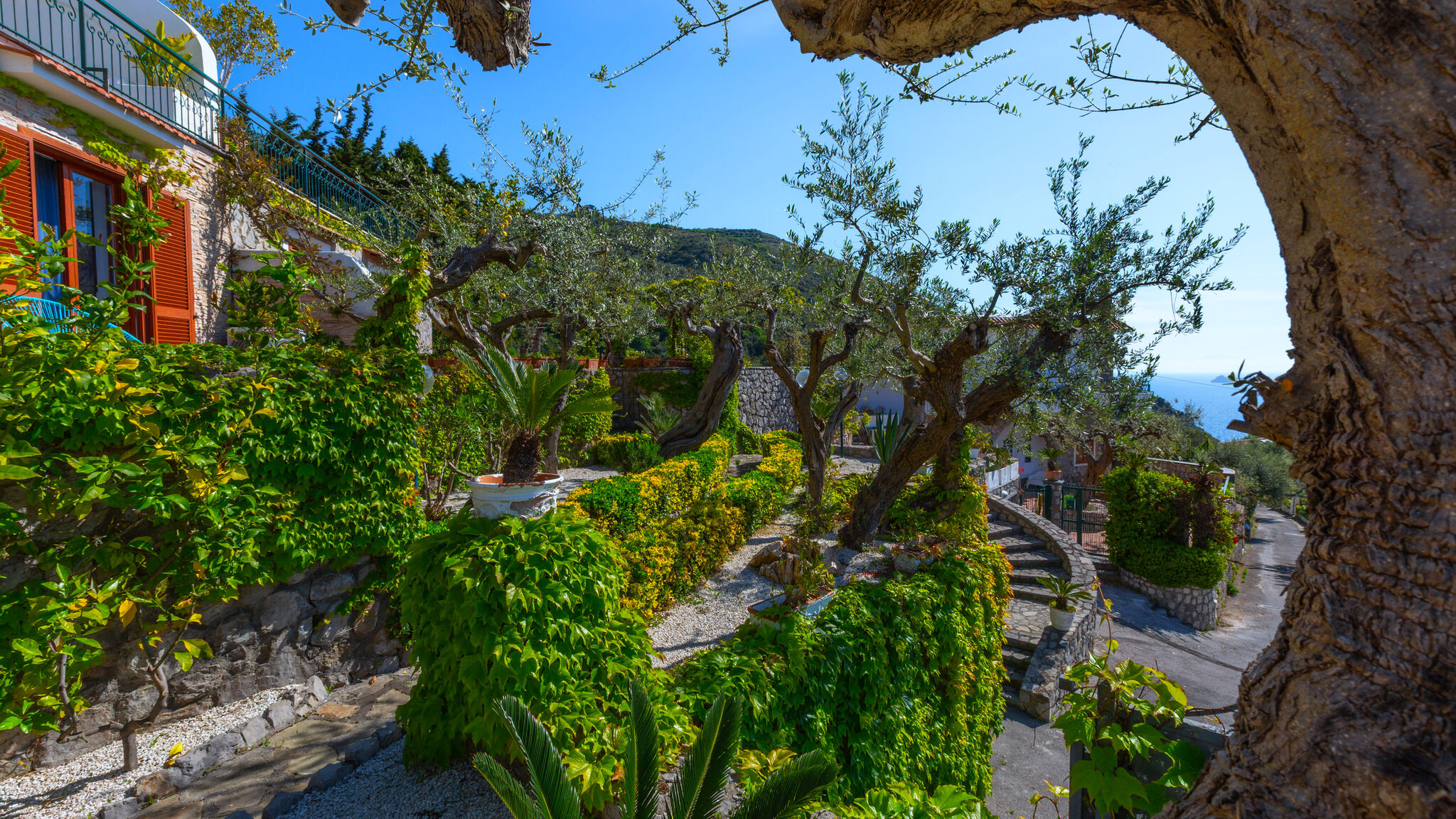 Italianway Massa Lubrense Villa Rossella by Elite Villas