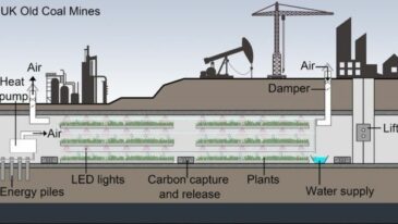 Underground Crops