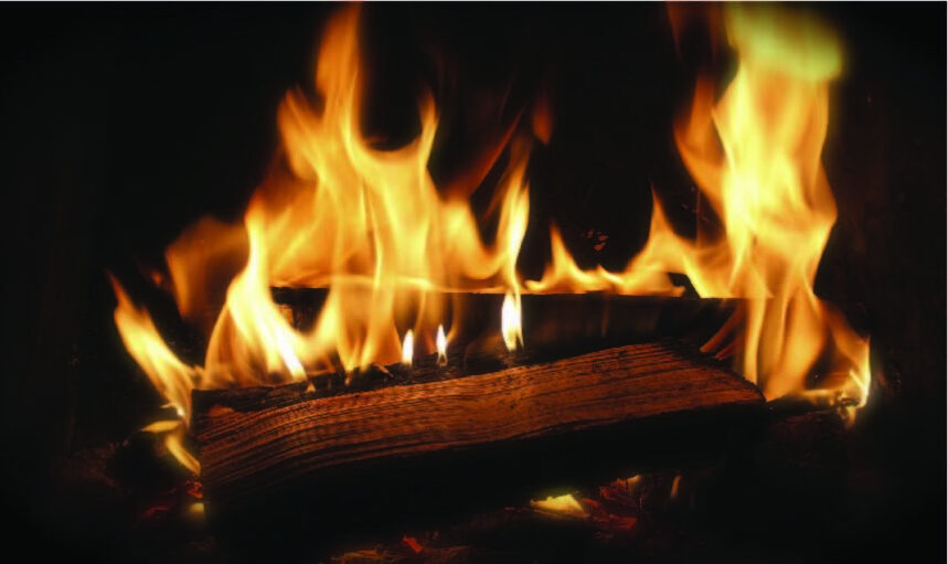 Blog Images Firewood 02