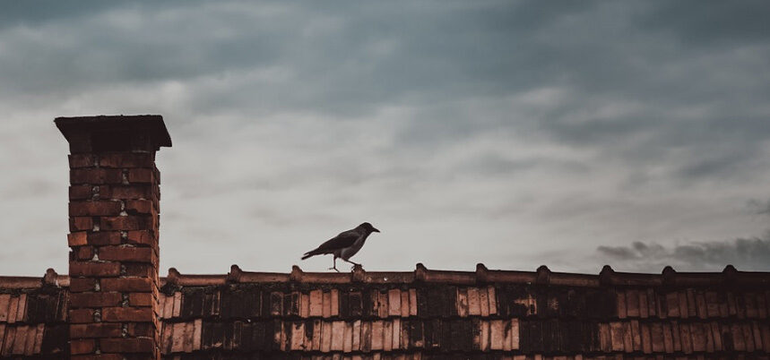 Importance Of Chimney Safety