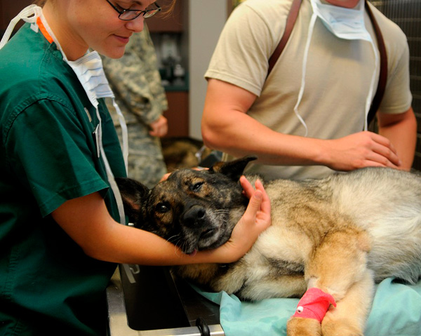 detrazioni spese veterinarie
