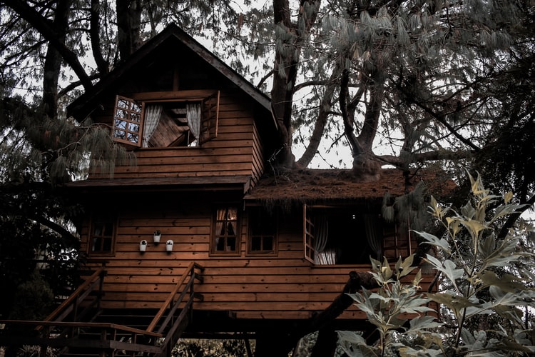 comprare casa in legno