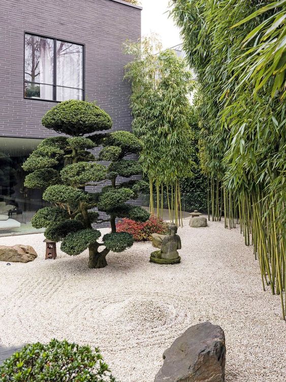 Jardín japonés
