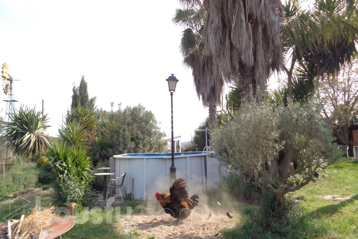 Housfy vende 🏡 amplia casa ubicada en Castellet i la Gornal ( finca rústica ) la cuál consta de 165m2 útiles en una parcela de 4.251m² . Vivienda muy funcional, toda en una planta, parcela totalmente llana, con pequeños invernaderos, con pozo de agua, Distribución de estancias -Salón-comedor -5 Dormitorios -2 Baños -Cocina equipada Características específicas -Cédula de habitabilidad -Terraza -Jardín privado Zona y entorno Respecto a la ubicación, se sitúa en Castellet i la Gornal, municipio de Barcleona. Esta propiedad se encuentra cerca de transporte público, colegios, supermercados y farmacias. Aviso legal El precio de venta no incluye gastos de la compraventa como notaría, registro, impuestos, ni tampoco honorarios agencia. Esta publicación no es vinculante. Consulta siempre la nota simple con Housfy antes de formalizar la compraventa. Sobre nosotros Housfy es la plataforma integral de servicios inmobiliarios. Nuestra combinación de expertos y tecnología pone al alcance de todo el mundo servicios cómodos, claros y seguros. AICAT número: 7922. Nos encargamos de la gestión y asesoramiento de la compra. ¡Olvídate de todo! Hacemos los trámites por ti. Y, si además necesitas financiación, ponemos a tu disposición un bróker hipotecario para ayudarte a conseguir las mejores condiciones para tu perfil económico. ¿Quieres visitarla? Contacta con Housfy y agenda tu visita sin compromiso. Más información en: housfy.com-16