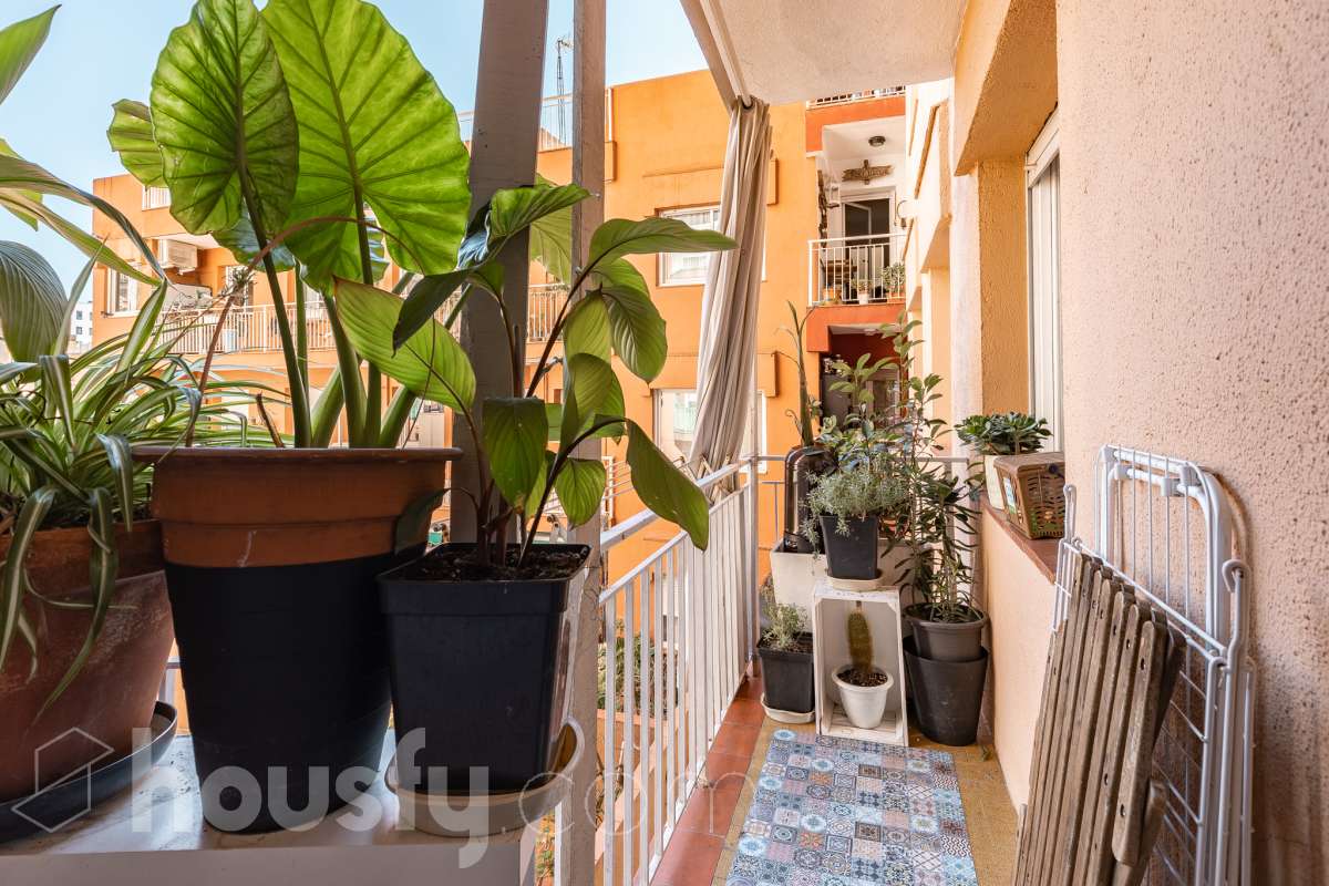 Piso luminoso con amplio comedor, 3 habitaciones, galeria y muchas posibilidades en Gracia!-4