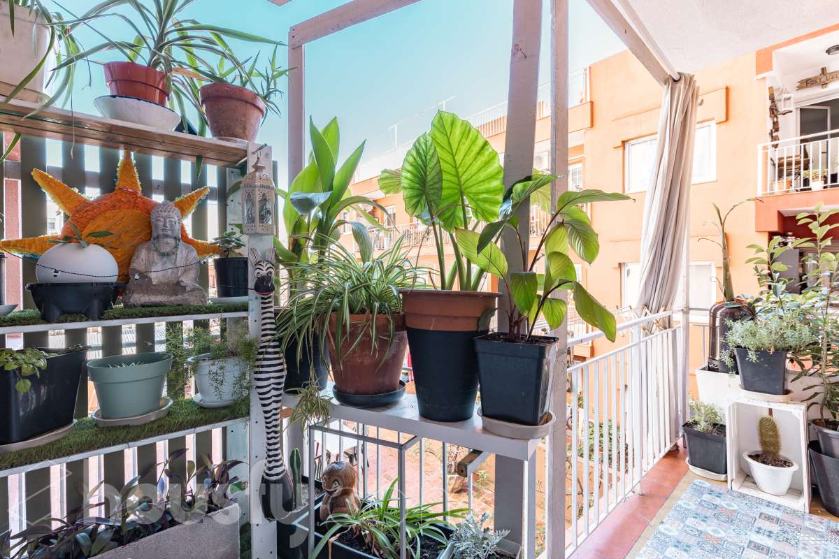 Piso luminoso con amplio comedor, 3 habitaciones, galeria y muchas posibilidades en Gracia!-35