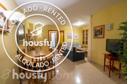 Viviendas en alquiler en Palma de Mallorca