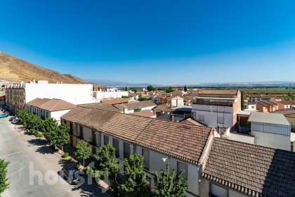 Viviendas en venta en la provincia de Granada