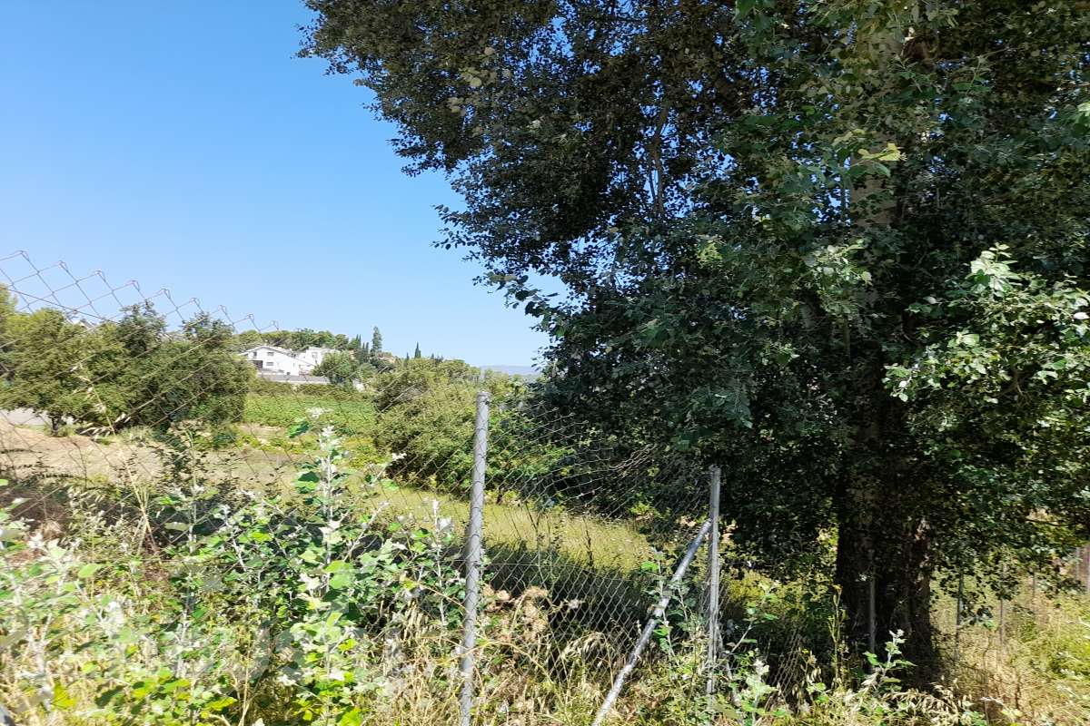 Oportunidad parcela en Pla de Cavalls-12