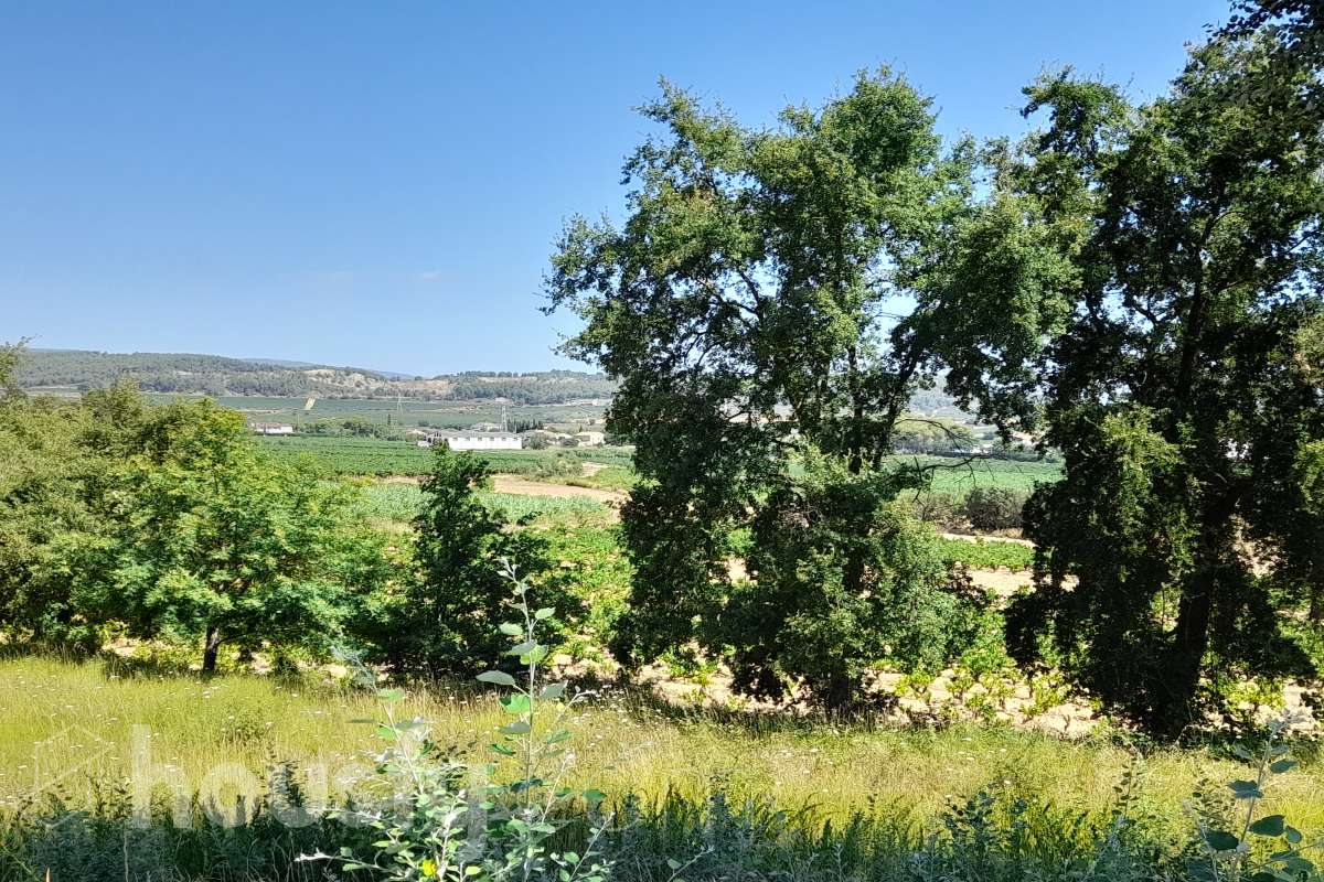 Oportunidad parcela en Pla de Cavalls-7