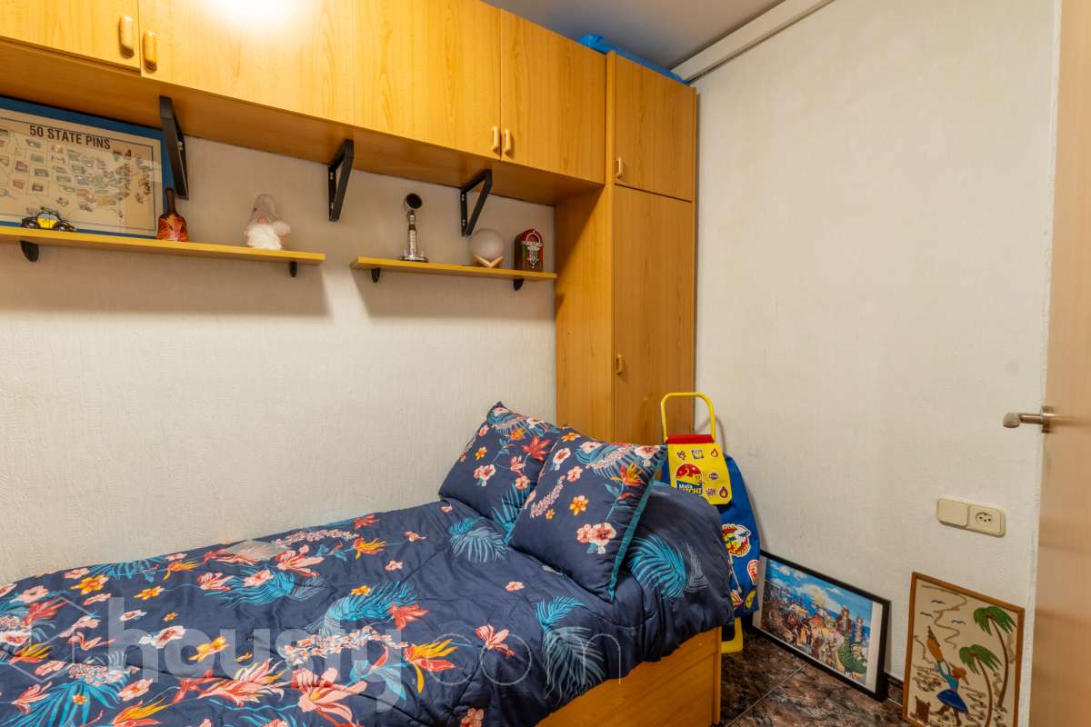 ámplio-17