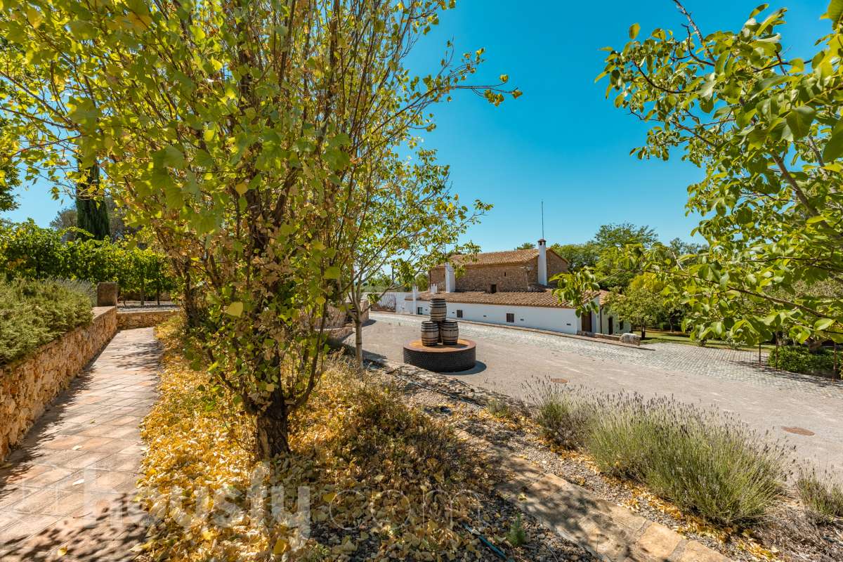 Housfy vende masía histórica de finales del S.XIX – El corazón del Penedès Descubra esta excepcional masía de piedra, un oasis de tranquilidad y autenticidad restaurado minuciosamente en 2010. Con una superficie construida de 351 m² sobre una extensa parcela de 8.502 m², esta propiedad combina a la perfección la tradición arquitectónica catalana con el máximo confort moderno. Lo que hace única a esta propiedad: Arquitectura y carácter: Restauración fiel que preserva elementos originales: vigas de madera de melis, techos de "volta catalana", suelos de mosaico antiguo y carpintería tradicional. Un viaje en el tiempo sin renunciar a las comodidades actuales. Entorno privilegiado: Ubicada en el corazón vinícola del Penedès, a tan solo 50 km de Barcelona y el aeropuerto, y a 20 km de Sitges. Disfrute de un entorno natural rodeado de viñedos, perfecto para actividades al aire libre como senderismo o rutas ecuestres. Zona exterior diseñada para disfrutar: Un espacio exterior con porches de columnas milenarias, piscina y una completa zona de barbacoa/horno de leña tradicional. Incluye una zona de sombra natural bajo moreras centenarias, huerto privado, frutales y un espacio polivalente de 3.700 m² apto para instalaciones hípicas. Sostenibilidad y equipamiento: La casa cuenta con sistema de calefacción geotérmica de alta eficiencia, pozos propios (caudal garantizado de 9.000 l/h), depuradora ecológica y conexión a fibra óptica, garantizando un funcionamiento autónomo y eficiente. Distribución y detalles: Amplios espacios interiores, incluyendo una biblioteca, cocina rústica de 28 m² con chimenea, gran salón de reuniones con capacidad para 24 comensales y bodega. La planta superior conserva el encanto original con acceso a un desván polivalente de 90 m². Esta propiedad es ideal para quienes buscan una residencia singular, un refugio de fin de semana o una oportunidad de inversión en una de las zonas más demandadas y con mayor encanto de Cataluña. Quiere visitarla? Contacte con Housfyy agende su visita sin compromiso. Más información en: housfy.com-66