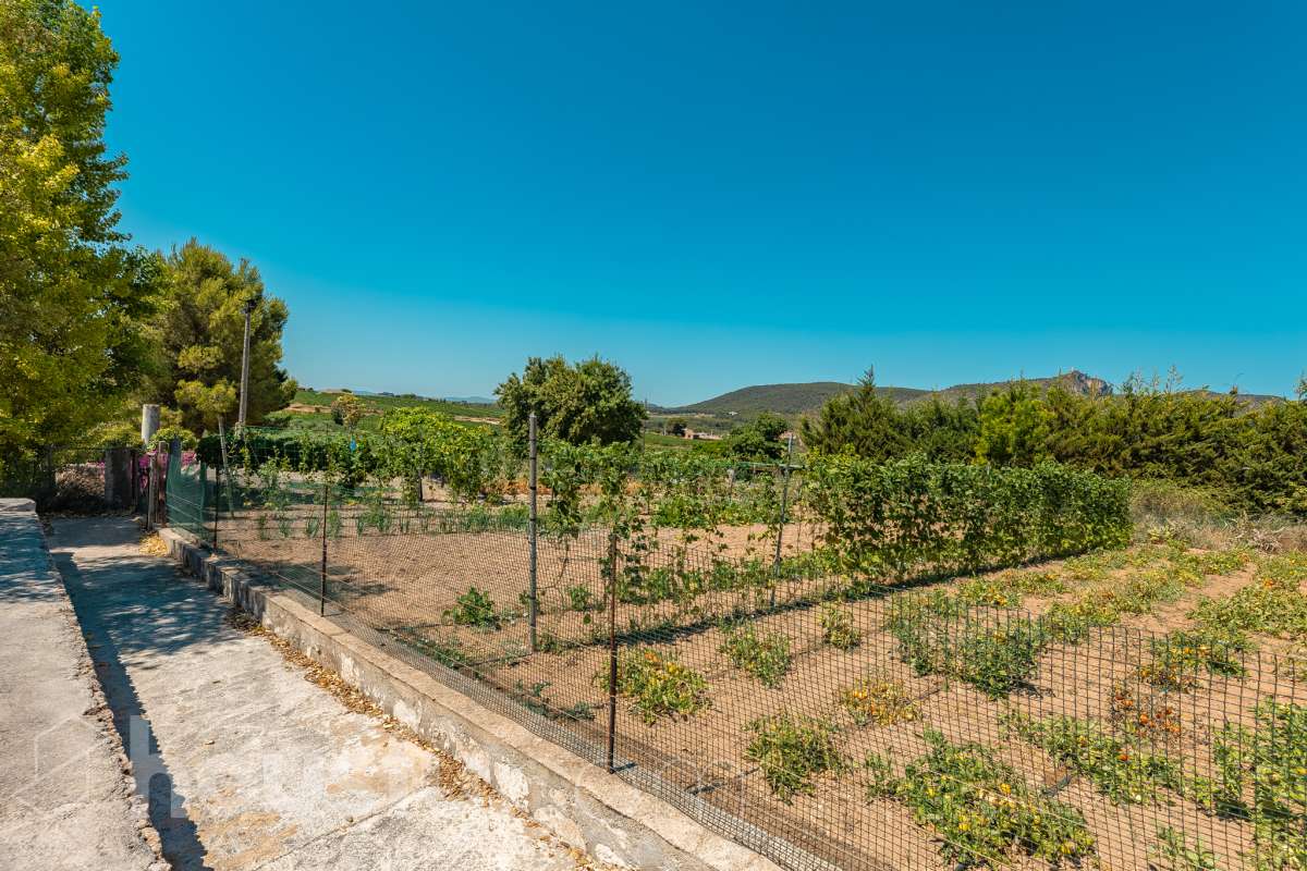 Housfy vende masía histórica de finales del S.XIX – El corazón del Penedès Descubra esta excepcional masía de piedra, un oasis de tranquilidad y autenticidad restaurado minuciosamente en 2010. Con una superficie construida de 351 m² sobre una extensa parcela de 8.502 m², esta propiedad combina a la perfección la tradición arquitectónica catalana con el máximo confort moderno. Lo que hace única a esta propiedad: Arquitectura y carácter: Restauración fiel que preserva elementos originales: vigas de madera de melis, techos de "volta catalana", suelos de mosaico antiguo y carpintería tradicional. Un viaje en el tiempo sin renunciar a las comodidades actuales. Entorno privilegiado: Ubicada en el corazón vinícola del Penedès, a tan solo 50 km de Barcelona y el aeropuerto, y a 20 km de Sitges. Disfrute de un entorno natural rodeado de viñedos, perfecto para actividades al aire libre como senderismo o rutas ecuestres. Zona exterior diseñada para disfrutar: Un espacio exterior con porches de columnas milenarias, piscina y una completa zona de barbacoa/horno de leña tradicional. Incluye una zona de sombra natural bajo moreras centenarias, huerto privado, frutales y un espacio polivalente de 3.700 m² apto para instalaciones hípicas. Sostenibilidad y equipamiento: La casa cuenta con sistema de calefacción geotérmica de alta eficiencia, pozos propios (caudal garantizado de 9.000 l/h), depuradora ecológica y conexión a fibra óptica, garantizando un funcionamiento autónomo y eficiente. Distribución y detalles: Amplios espacios interiores, incluyendo una biblioteca, cocina rústica de 28 m² con chimenea, gran salón de reuniones con capacidad para 24 comensales y bodega. La planta superior conserva el encanto original con acceso a un desván polivalente de 90 m². Esta propiedad es ideal para quienes buscan una residencia singular, un refugio de fin de semana o una oportunidad de inversión en una de las zonas más demandadas y con mayor encanto de Cataluña. Quiere visitarla? Contacte con Housfyy agende su visita sin compromiso. Más información en: housfy.com-67