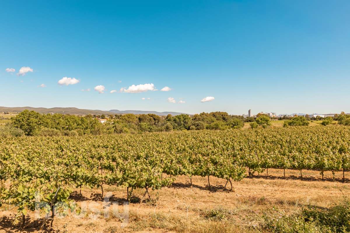 Housfy vende 🏡 luminosa casa ubicada en Santa Margarida i els Monjos. Ven a ver esta bonita casa de pueblo con encanto y vistas privilegiadas a los viñedos en el tranquilo barrio de Sardinyola. Una estructura llena de posibilidades, para acabar de diseñar a tu gusto. Convierte este balcón natural al Penedès en la casa de tus sueños. La vivienda dispone de 142m2 útiles (verificados con la Dirección General de Catastro). Construida en el año: 1905. Distribución de estancias -Salón-comedor -5 Dormitorios -1 Baño -Cocina equipada Características específicas -Cédula de habitabilidad -Trastero -Se aceptan mascotas -Vistas a la montaña -Chimenea Zona y entorno Respecto a la ubicación, se sitúa en Santa Margarida i els Monjos, municipio de Barcelona. Esta propiedad se encuentra cerca de transporte público, colegios, supermercados y farmacias. Santa Margarida i els Monjos está estratégicamente conectada, lo que permite llegar a Barcelona en unos 40-45 minutos. Autopista AP-7: Acceso directo a solo 2 km del casco urbano (Salida 30). Es la vía más rápida para entrar a Barcelona por la Diagonal. N-340: Una alternativa gratuita y directa que conecta con toda la comarca y el área metropolitana. En Tren (Rodalies): Comodidad sin atascos El municipio cuenta con su propia estación de tren (Els Monjos), lo que es un lujo para una casa de pueblo. Línea R4 de Rodalies: Conecta directamente con estaciones clave como Sants, Plaça Catalunya y Arc de Triomf. Aviso legal El precio de venta no incluye gastos de la compraventa como notaría, registro, impuestos, ni tampoco honorarios agencia. Esta publicación no es vinculante. Consulta siempre la nota simple con Housfy antes de formalizar la compraventa. Sobre nosotros Housfy es la plataforma integral de servicios inmobiliarios. Nuestra combinación de expertos y tecnología pone al alcance de todo el mundo servicios cómodos, claros y seguros. AICAT número: 7922. Nos encargamos de la gestión y asesoramiento de la compra. ¡Olvídate de todo! Hacemos los trámites por ti. Y, si además necesitas financiación, ponemos a tu disposición un bróker hipotecario para ayudarte a conseguir las mejores condiciones para tu perfil económico. ¿Quieres visitarla? Contacta con Housfy y agenda tu visita sin compromiso. Más información en: housfy.com Este anuncio contiene imágenes ilustrativas, con el objetivo de mostrar el potencial de la propiedad, y pueden diferir del resultado final.-50