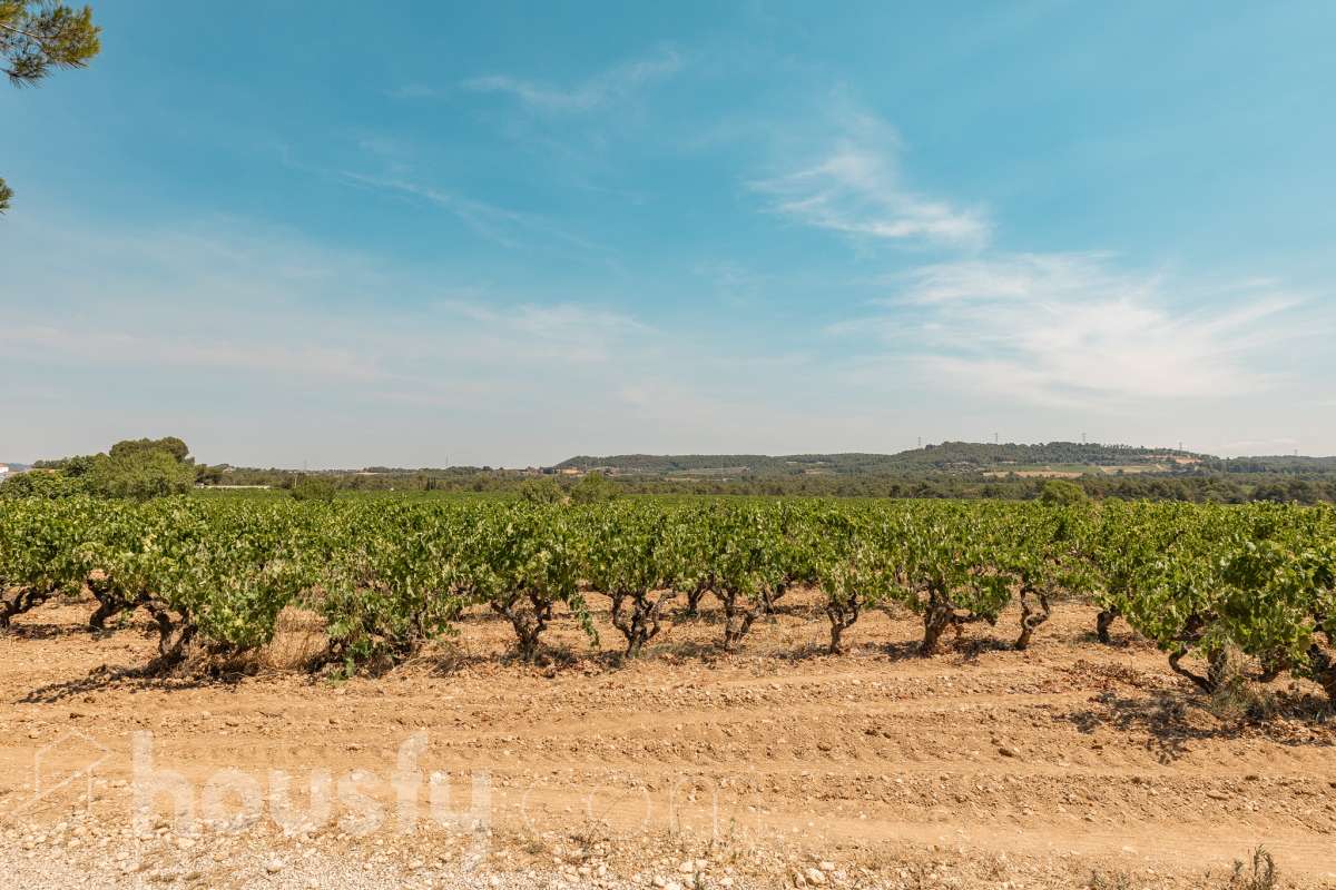 Housfy vende 🏡 amplia casa a 3 vientos y parcela rústica, ubicada en Torrelavit. Vive con la máxima tranquilidad, rodeado de un paisaje vitivinícola idílico y una paz absoluta. Sin renunciar a una excelente conectividad a pocos minutos de la c-15. Vivienda para reformar y diseñar a tu gusto!. Dispone de una planta completamente diáfana y polivalente, diseñada para adaptarse al ritmo de tu vida: desde un taller artístico hasta el espacio de relax que siempre soñaste. Justo enfrente de la casa, se encuentra un precioso jardín de 105m2. La vivienda dispone de 165m2 útiles (verificados con la Dirección General de Catastro). Reformada en el año: 1975. el inmueble cuenta también con una parcela rústica adyacente de 2.575 m2. Distribución de estancias -Salón-comedor -3 Dormitorios -2 Baños -Cocina independiente. Características específicas -Patio -Jardín privado Zona y entorno Respecto a la ubicación, se sitúa en Torrelavit, municipio de Barcelona. Esta propiedad se encuentra cerca de transporte público, colegios, supermercados y farmacias. Aviso legal El precio de venta no incluye gastos de la compraventa como notaría, registro, impuestos, ni tampoco honorarios agencia. Esta publicación no es vinculante. Consulta siempre la nota simple con Housfy antes de formalizar la compraventa. Sobre nosotros Housfy es la plataforma integral de servicios inmobiliarios. Nuestra combinación de expertos y tecnología pone al alcance de todo el mundo servicios cómodos, claros y seguros. AICAT número: 7922. Nos encargamos de la gestión y asesoramiento de la compra. ¡Olvídate de todo! Hacemos los trámites por ti. Y, si además necesitas financiación, ponemos a tu disposición un bróker hipotecario para ayudarte a conseguir las mejores condiciones para tu perfil económico. ¿Quieres visitarla? Contacta con Housfy y agenda tu visita sin compromiso. Más información en: housfy.com-38