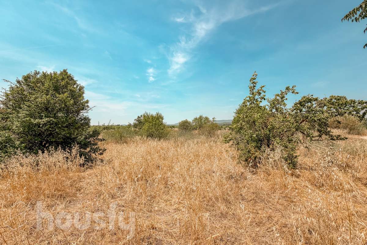 Housfy vende 🏡 amplia casa a 3 vientos y parcela rústica, ubicada en Torrelavit. Vive con la máxima tranquilidad, rodeado de un paisaje vitivinícola idílico y una paz absoluta. Sin renunciar a una excelente conectividad a pocos minutos de la c-15. Vivienda para reformar y diseñar a tu gusto!. Dispone de una planta completamente diáfana y polivalente, diseñada para adaptarse al ritmo de tu vida: desde un taller artístico hasta el espacio de relax que siempre soñaste. Justo enfrente de la casa, se encuentra un precioso jardín de 105m2. La vivienda dispone de 165m2 útiles (verificados con la Dirección General de Catastro). Reformada en el año: 1975. el inmueble cuenta también con una parcela rústica adyacente de 2.575 m2. Distribución de estancias -Salón-comedor -3 Dormitorios -2 Baños -Cocina independiente. Características específicas -Patio -Jardín privado Zona y entorno Respecto a la ubicación, se sitúa en Torrelavit, municipio de Barcelona. Esta propiedad se encuentra cerca de transporte público, colegios, supermercados y farmacias. Aviso legal El precio de venta no incluye gastos de la compraventa como notaría, registro, impuestos, ni tampoco honorarios agencia. Esta publicación no es vinculante. Consulta siempre la nota simple con Housfy antes de formalizar la compraventa. Sobre nosotros Housfy es la plataforma integral de servicios inmobiliarios. Nuestra combinación de expertos y tecnología pone al alcance de todo el mundo servicios cómodos, claros y seguros. AICAT número: 7922. Nos encargamos de la gestión y asesoramiento de la compra. ¡Olvídate de todo! Hacemos los trámites por ti. Y, si además necesitas financiación, ponemos a tu disposición un bróker hipotecario para ayudarte a conseguir las mejores condiciones para tu perfil económico. ¿Quieres visitarla? Contacta con Housfy y agenda tu visita sin compromiso. Más información en: housfy.com-42
