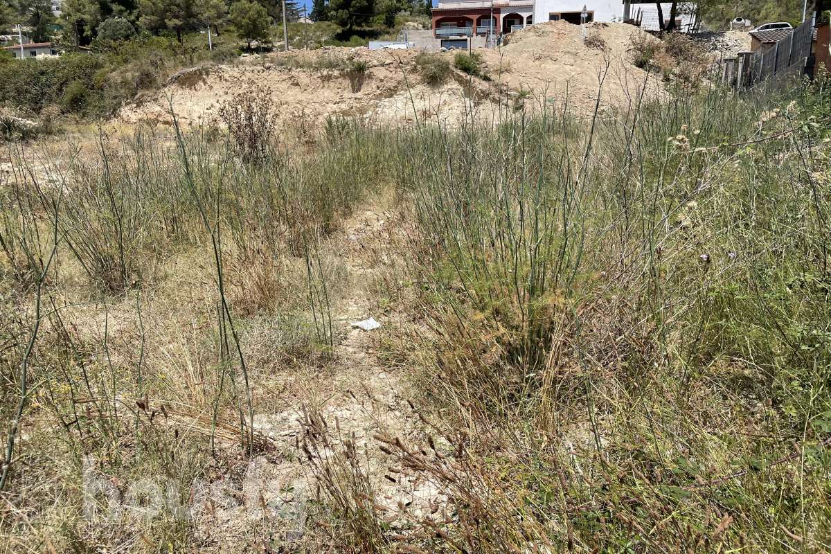 Terreno urbano de 585 m2 en Canyelles-6