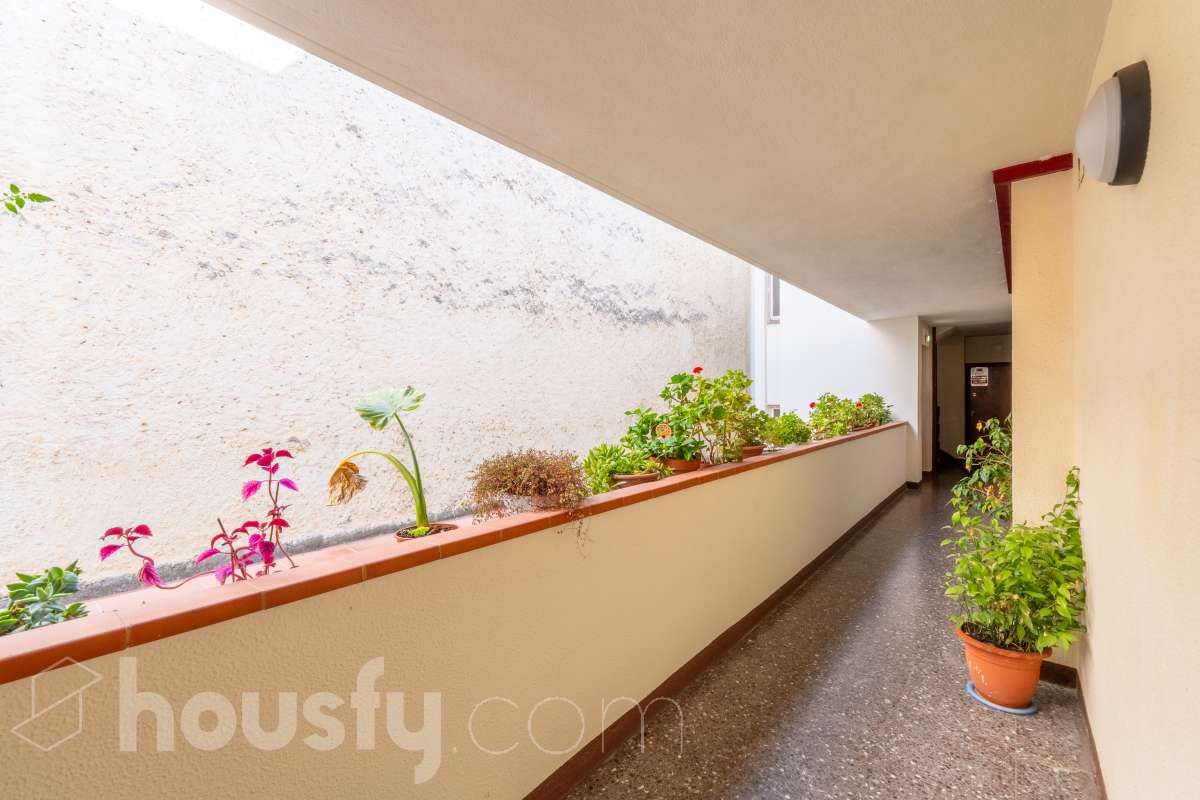 Housfy vende piso con gran potencial de reforma junto a la Rambla Principal de Vilanova Oportunidad en una ubicación privilegiada de Vilanova i la Geltrú. Piso situado a pocos pasos de la Rambla Principal, en una primera planta con ascensor, una ubicación excelente para quienes buscan vivir en pleno centro, con todos los servicios, comercios y comodidades al alcance. La vivienda dispone actualmente de 3 habitaciones, 1 baño, cocina independiente y lavadero, ofreciendo una distribución que permite plantear una reforma integral y adaptarla completamente a las necesidades y gustos del nuevo propietario. Uno de los principales atractivos de esta propiedad es su posibilidad de redistribución. Se pueden eliminar tabiques y transformar el espacio para conseguir una vivienda mucho más abierta, moderna y luminosa. Una de las opciones de reforma permitiría disponer de 2 habitaciones y un espectacular salón-comedor de aproximadamente 40 m² con cocina abierta, creando una amplia zona de día ideal para disfrutar y recibir invitados. La vivienda ofrece así la posibilidad de reformarla completamente a gusto, diseñando una distribución actual y funcional sin tener que adaptarse a una distribución antigua. Una propiedad ideal tanto para crear una vivienda a medida como para inversores que busquen una oportunidad de transformación en una de las zonas más céntricas de Vilanova i la Geltrú. Ven a visitarla y descubre todas las posibilidades que ofrece. Aviso legal El precio de venta no incluye gastos de la compraventa como notaría, registro, impuestos, ni tampoco honorarios agencia. Esta publicación no es vinculante. Consulta siempre la nota simple con Housfy antes de formalizar la compraventa. Sobre nosotros Housfy es la plataforma integral de servicios inmobiliarios. Nuestra combinación de expertos y tecnología pone al alcance de todo el mundo servicios cómodos, claros y seguros. AICAT número: 7922. Nos encargamos de la gestión y asesoramiento de la compra. ¡Olvídate de todo! Hacemos los trámites por ti. Y, si además necesitas financiación, ponemos a tu disposición un bróker hipotecario para ayudarte a conseguir las mejores condiciones para tu perfil económico. ¿Quieres visitarla? Contacta con Housfy y agenda tu visita sin compromiso. Más información en: housfy.com-29