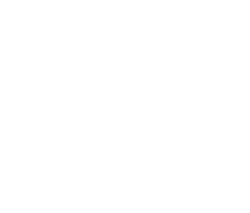 speedometer Icon