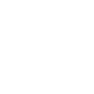 Globe Icon