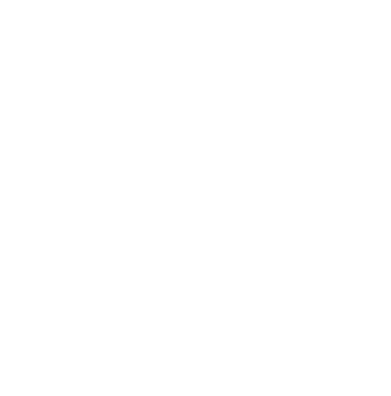 Coins Icon