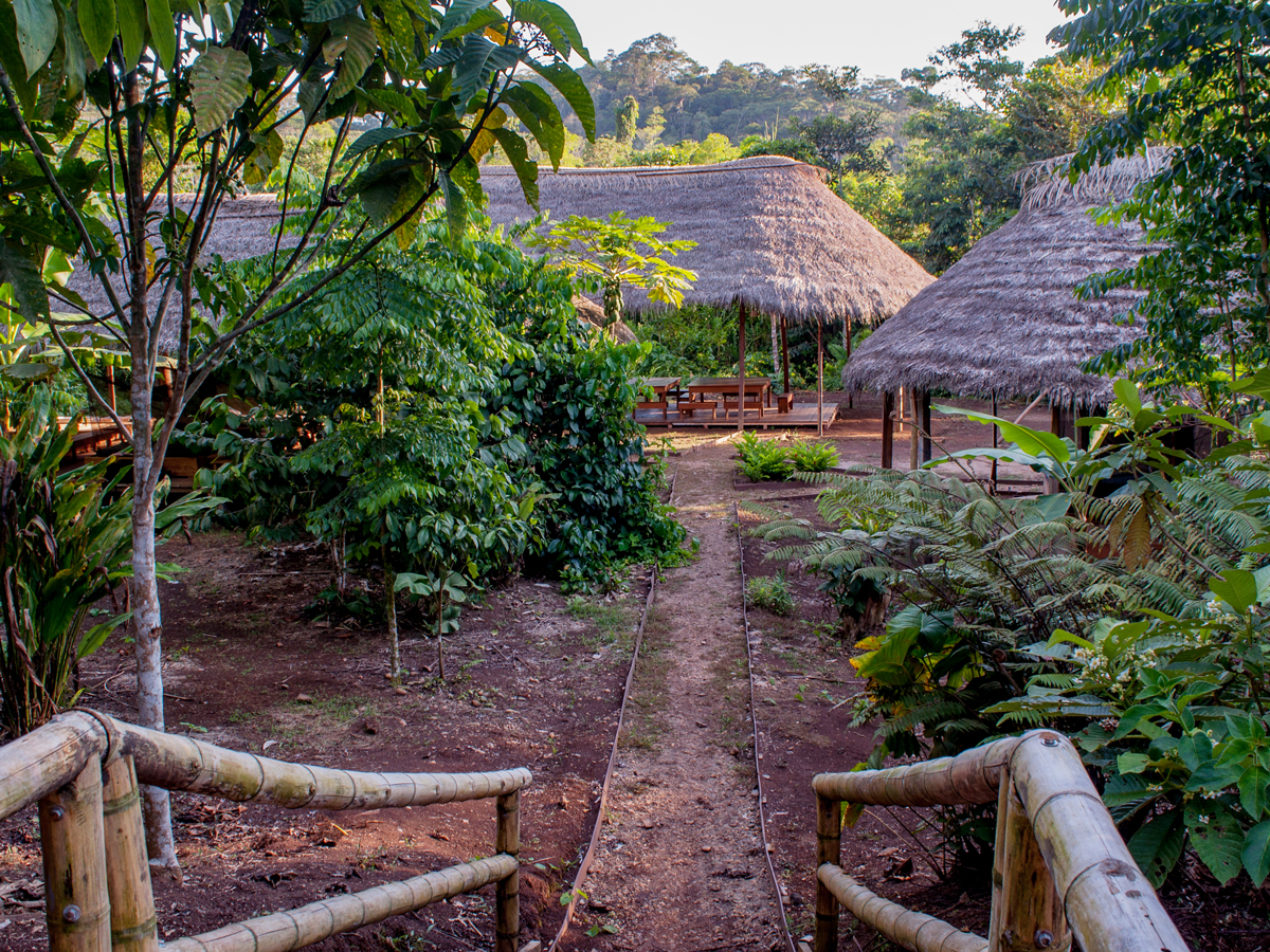 A deepdive Amazon adventure How To Spend It