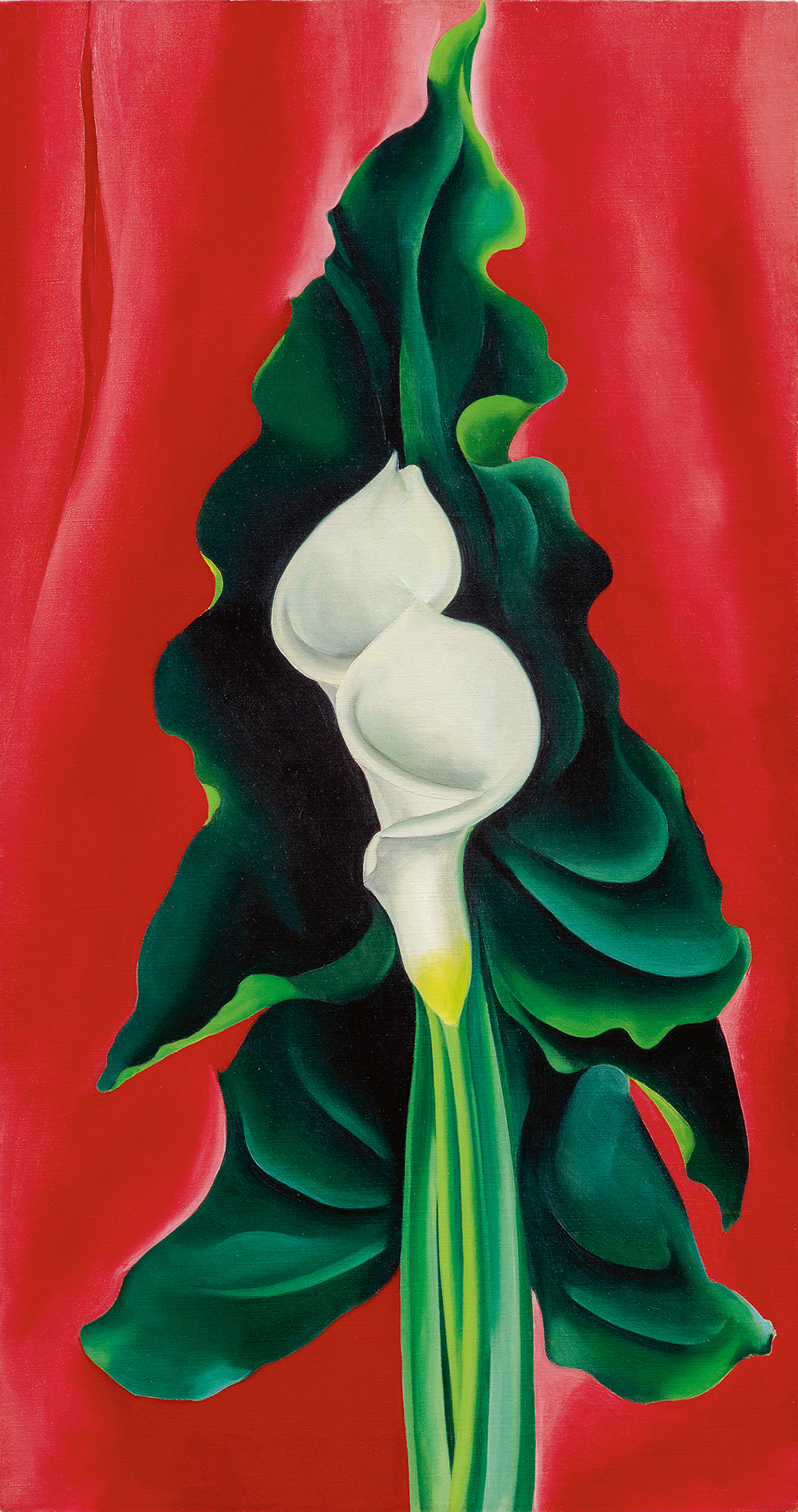 O’Keeffe artworks go on sale at Sotheby’s New York How To