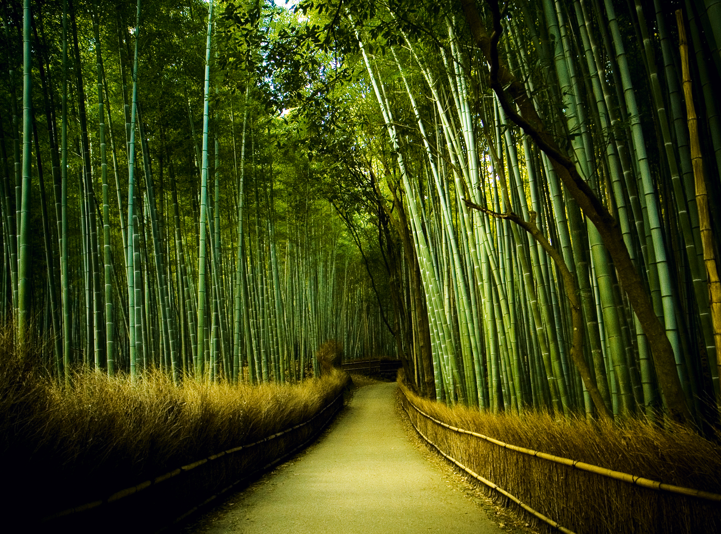 Putting Japan back on the tourism map | How To Spend It