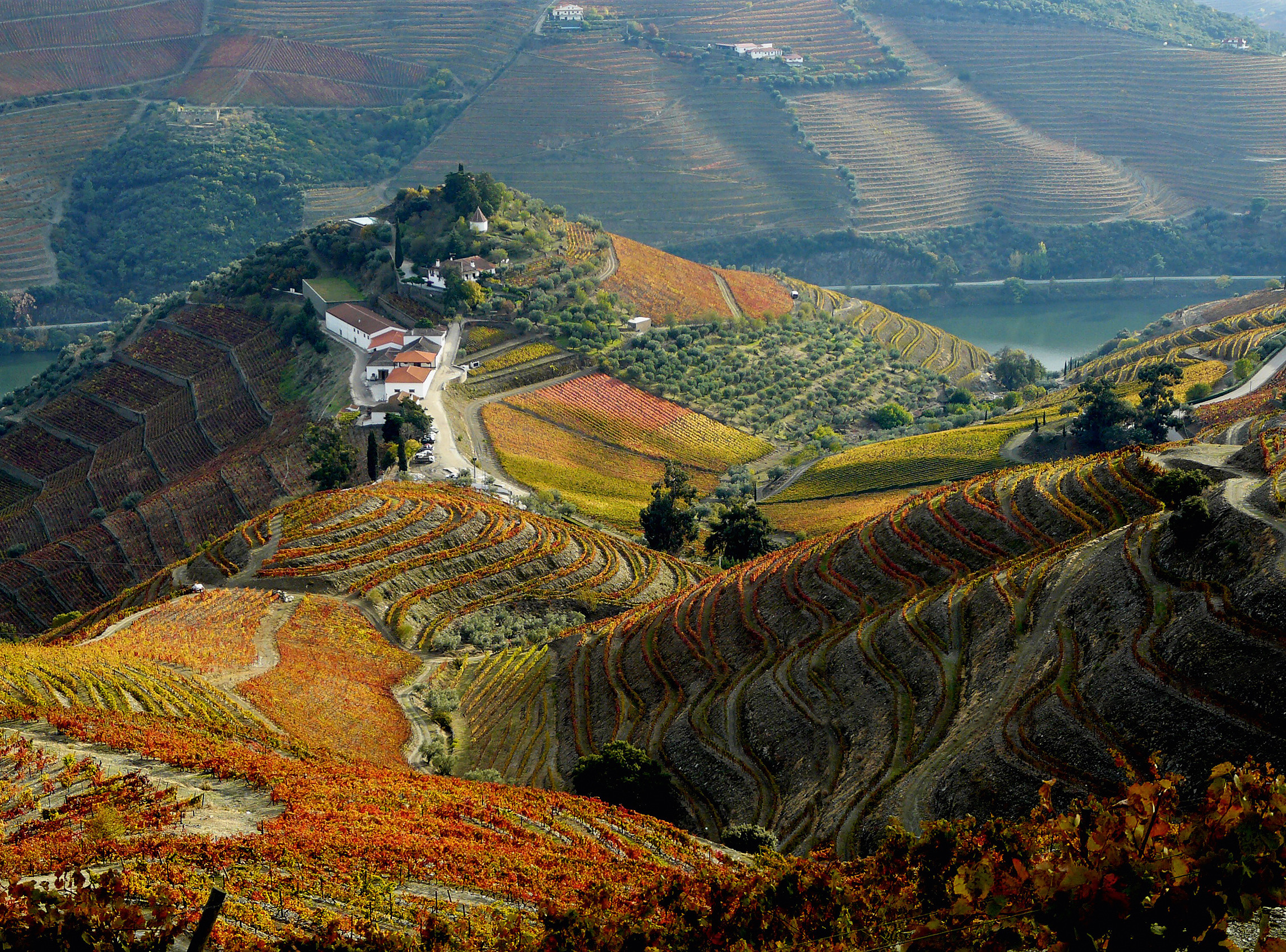 Portugal’s Douro Valley comes into its own How To Spend It
