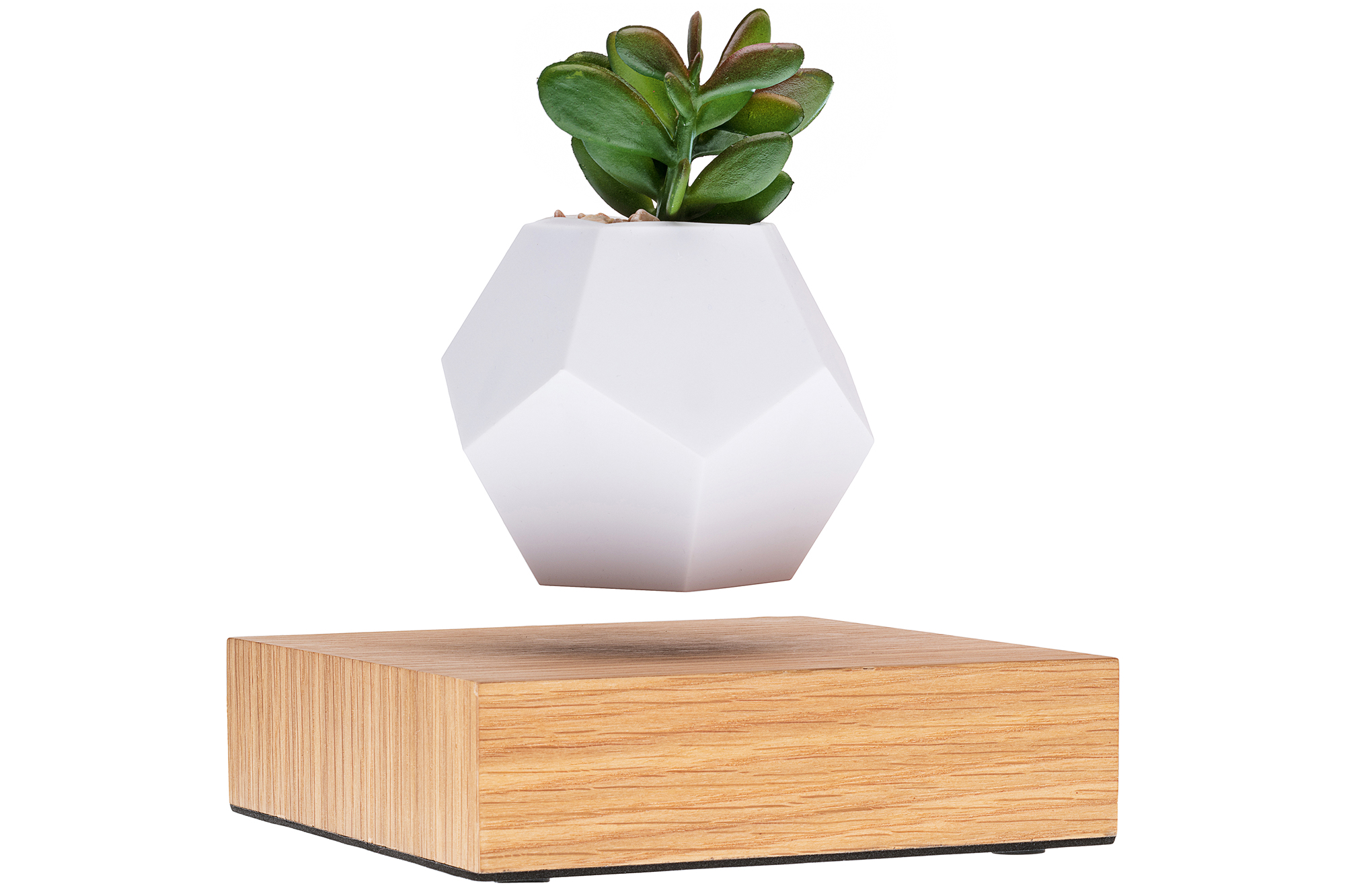 A mesmerising floating plant pot How To Spend It