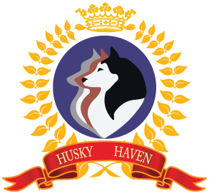 Husky Haven kennel