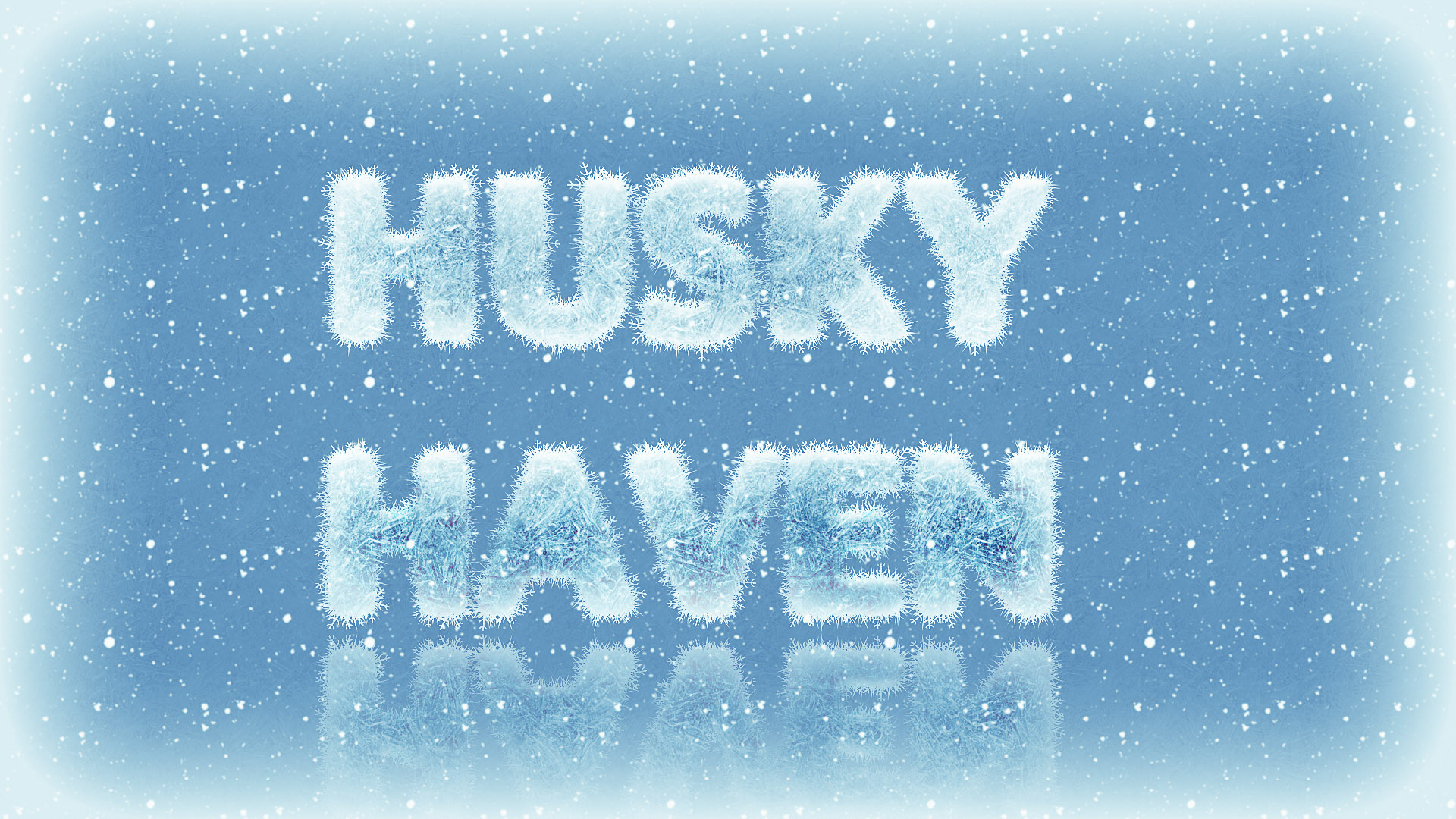 Husky Haven on the sand