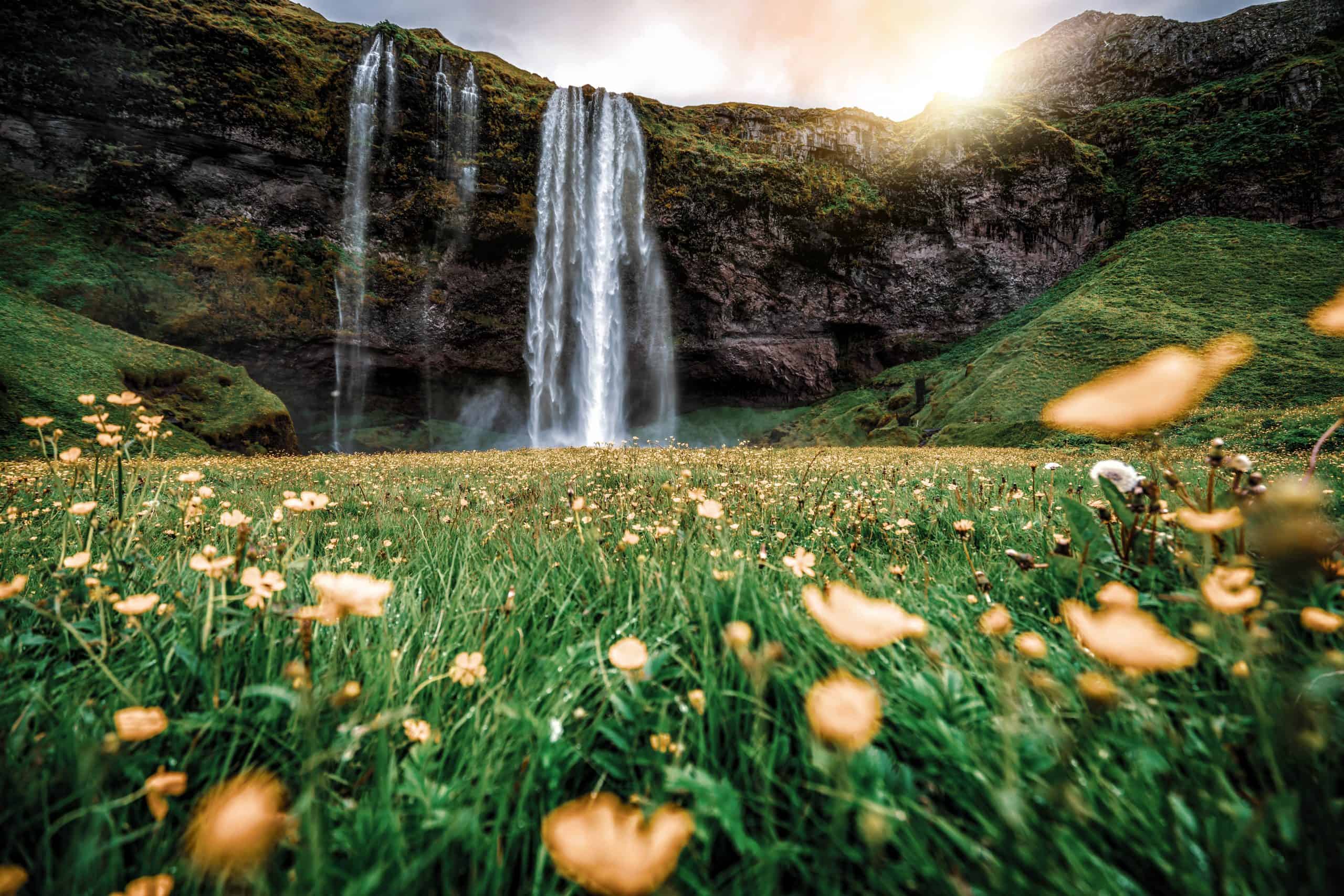 Visit Iceland in the Spring Best Day Tours Iceland Premium Tours