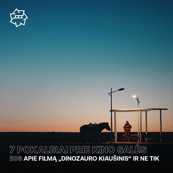 Vilnius International Film Festival campaign artwork