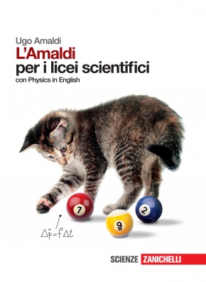 Amaldi_LS.jpg