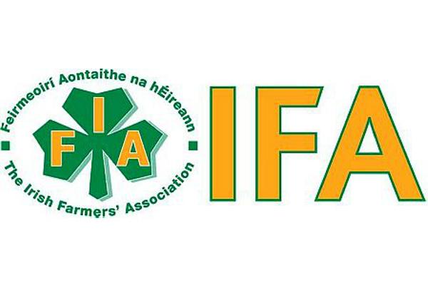 IFA calls for Court of Appeal ‘yes’ vote