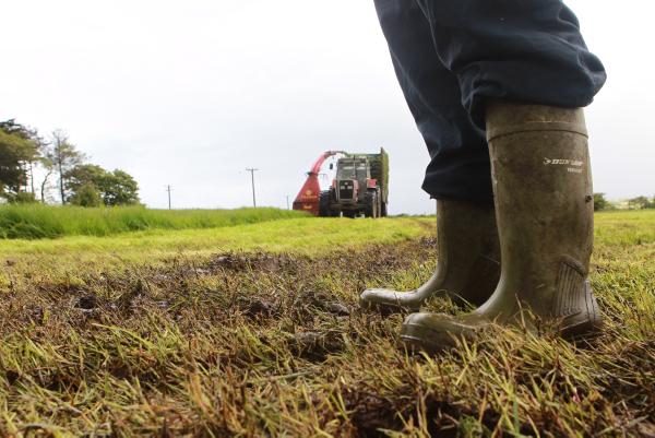 Nuffield awards six scholarships