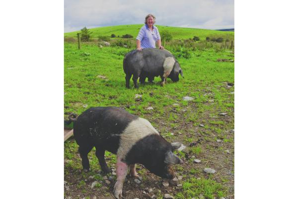 ‘I decided I wanted to get out and do something more sustainable’