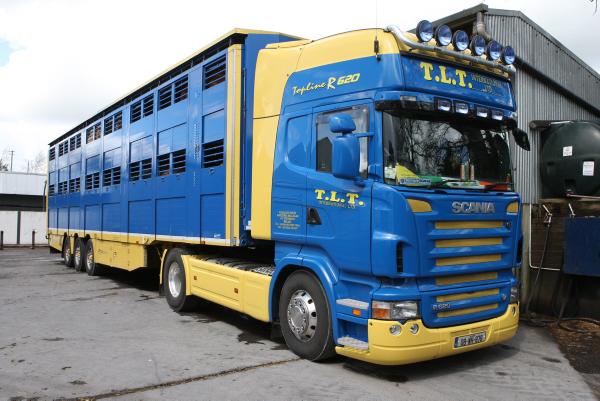 Marts take €3m hit as TLT fails 