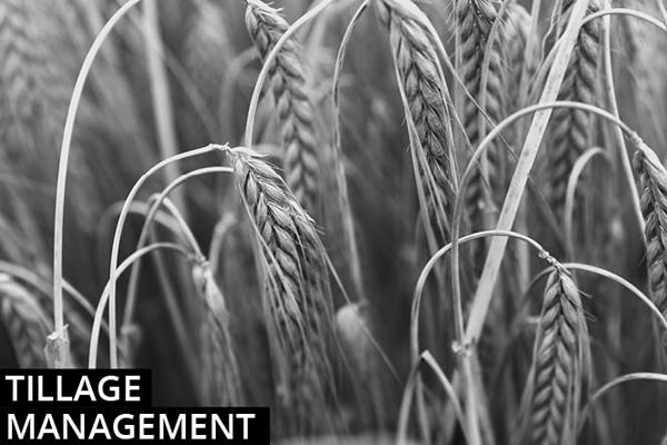 Tillage farming management notes 