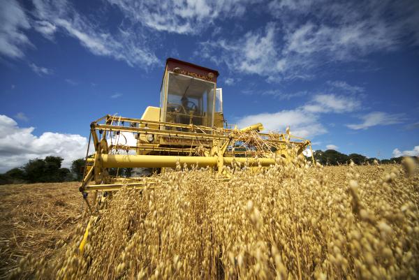 Crop insurance could be a good investment