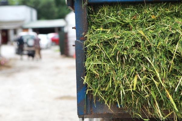 SK launches range of lighter trailers