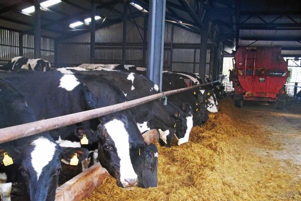 Pushing output on a limited land block